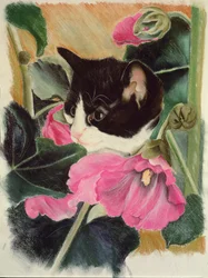 Gatinho e hollyhocks
