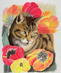 Listrado e tulipa