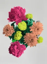 Blooming Happiness, 2017
