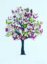 Flor de borboleta, 2016