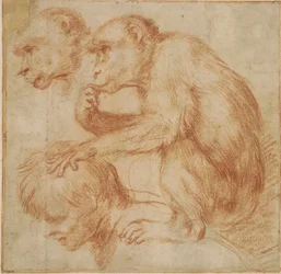 Carracci - Um macaco nos ombros de um homem de perfil à esquerda e um estudo do seu rosto, estudo para uma pintura Giz vermelho, Ff,2.115