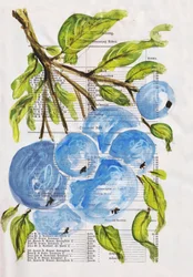 Mirtilos pintados em papel