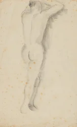 Nus de costas