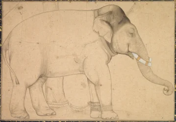 Desenho de um elefante