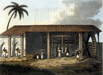 Brasil, fábrica de açúcar - em "The Old and Modern Costume" 1819 - 1820 pelo Dr. Jules Ferrario, ed Milan.