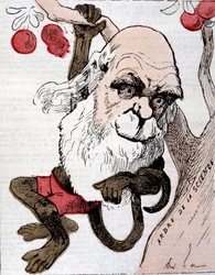 Caricatura de Charles Robert Darwin (1809 - 1882) em "La Lune".
