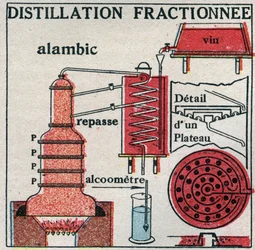 Mudanças nos estados: vapores. Destilação fraccionada do vinho. Ilustração anónima de 1925. Colecção privada.