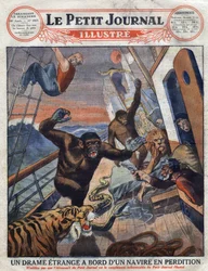 Drama sobre o transatlântico francês "Saint Etienne": gorilas, tigres, leões e cobras destinados aos jardins zoológicos ingleses escaparam da sua jaula e atacaram os membros da tripulação. "Engraving". Um dos "The Little Journal Illustrates".