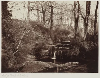 Edge Park, Cheshire, c.1865 (impressão albuminada a partir de negativo de vidro)