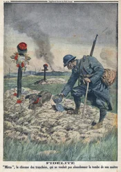 Primeira Guerra Mundial 1914-1918 (Guerra 14-18). Um cão recusando-se a abandonar a sepultura do seu dono morto na trincheira. No "Le Petite Journal", em 10/09/1916. Coleção Particular
