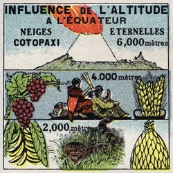Meteorologia: influência da altitude no clima. Ilustração anónima de 1925. Coleção particular.