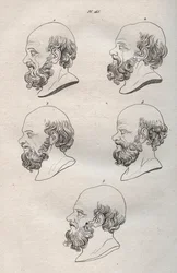 Fisiognomia - Fisiognomonia - Várias cabeças do filósofo grego Sócrates (ca. 469 AC-399 AC) (Busto de Sócrates (ca. 469 AC-399 AC), filósofo ateniense) gravura de 1808 em "A arte de conhecer os homens através da fisionomia" de Johann Gaspar (Gaspard) Lavat