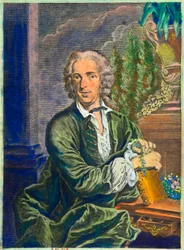 Retrato de Carl Von Linne (1707-1778) naturalista sueco - Coleção Privee