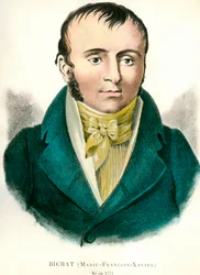 Retrato de François Xavier Bichat (1771-1802) Médico francês. Gravura do século XIX. Coleção particular