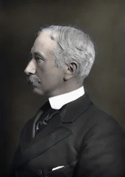 Retrato do Visconde Marechal Garnet Joseph Wolseley (1833-1913), Comandante-em-Chefe do Exército Britânico