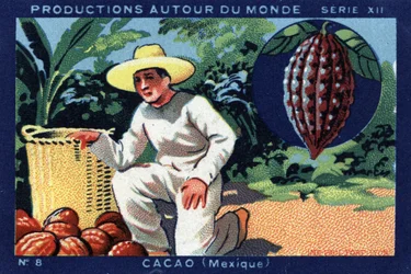 Produções em todo o mundo: Cacau no México. Cromolitografia de 1933 no "Álbum Joseph-Milliat".