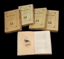 As Obras Completas de Buffon (1707 - 1788) - coleção particular