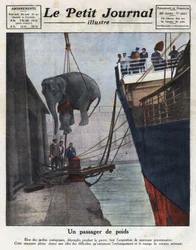 A chegada por barco de um elefante adquirido por um jardim zoológico de pessoas após a guerra. Ilustração retirada do "Le petit journal illustrious" de 20/11/1921. Coleção Particular