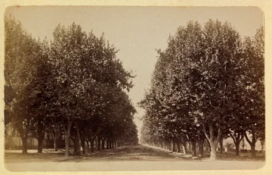A cidade de Marselha e seus arredores por volta de 1885 -1890: o Prado, coleção particular