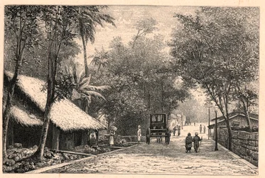 Vista de uma rua de Colombo no Ceilão (Sri Lanka). Gravura em "Les Missions Catholiques au XIXeme Siecle" de Louis-Eugene (Louis Eugene) Louvet. coleção particular.