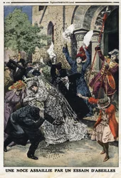 O casamento foi atacado por um enxame de abelhas. Gravação no "Le Petite Journal", em 28/07/1912. Colecção privada.