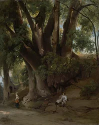 Italian Treescape (estrada em Albano)