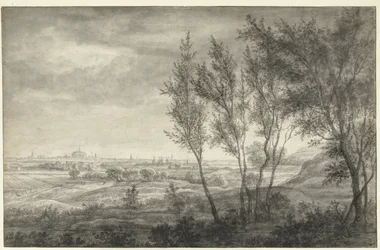 Vista de Haarlem a partir das dunas