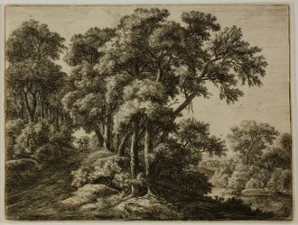 O caminho arborizado