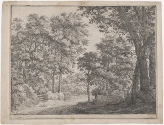 Os Bosques Aparados, século XVII.