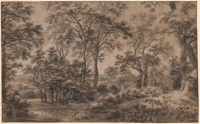Paisagem arborizada