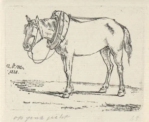 cavalo feito