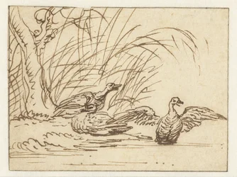 Três patos na beira-mar