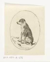 Cão sentado