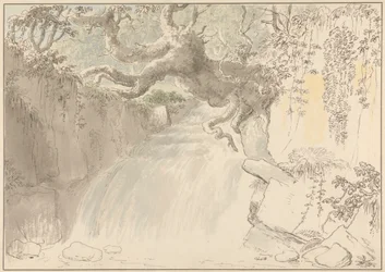 Cascata e tronco de árvore