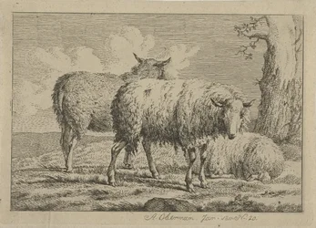 Três ovelhas por uma árvore Estudos de vacas, ovelhas e cabras (título da série)
