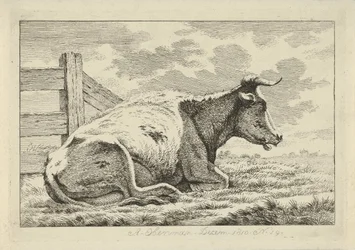 Vaca reclinada perto de uma vedação
Estudos de vacas, ovelhas e cabras (título da série)