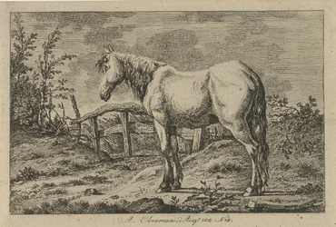 Cavalo em pé
Estudos de vacas, ovelhas e cabras (título da série)
