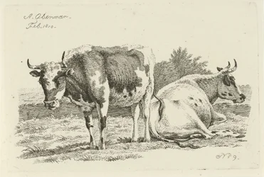 Vaca em pé e deitada Estudos de vacas, ovelhas e cabras (título da série)