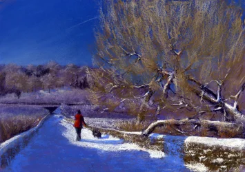 Caminhada de Inverno, 2012