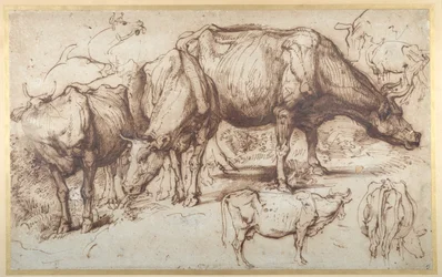 Gado em pastagem, c.1618-20 (caneta e tinta com lavagem em papel)
