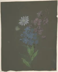 Desenho Floral
