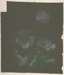 Desenho Floral