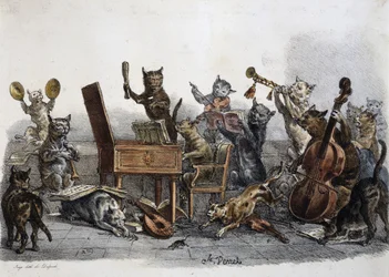 Um concerto amador, caricatura de gatos tocando instrumentos musicais, gravura de Carle Vernet (1758-1836), França