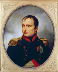 Retrato de Napoleão I (1769-1821), 1815