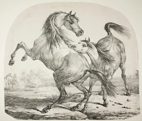 Cavalos selvagens lutando, c.1820