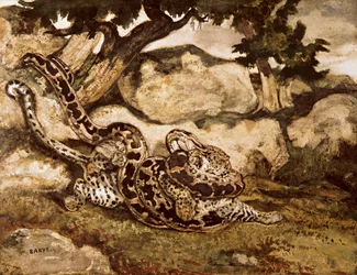 Um Python matando um tigre (wc e guache no papel)