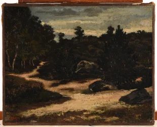 Francês: Chemin sableux en forêt de Fontainebleau