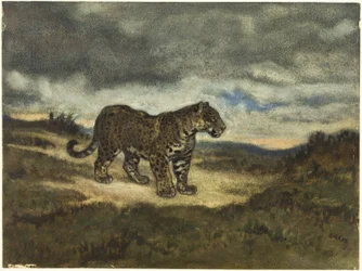 Jaguar em pé