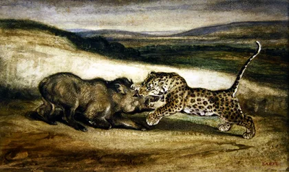 Pantera lutando contra um javali (aguarela)
