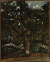 Lote na Floresta de Fontainebleau